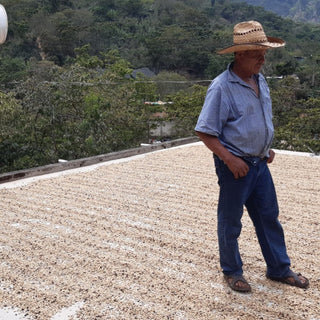 México Fedesi | Expreso | Mountain water decaf